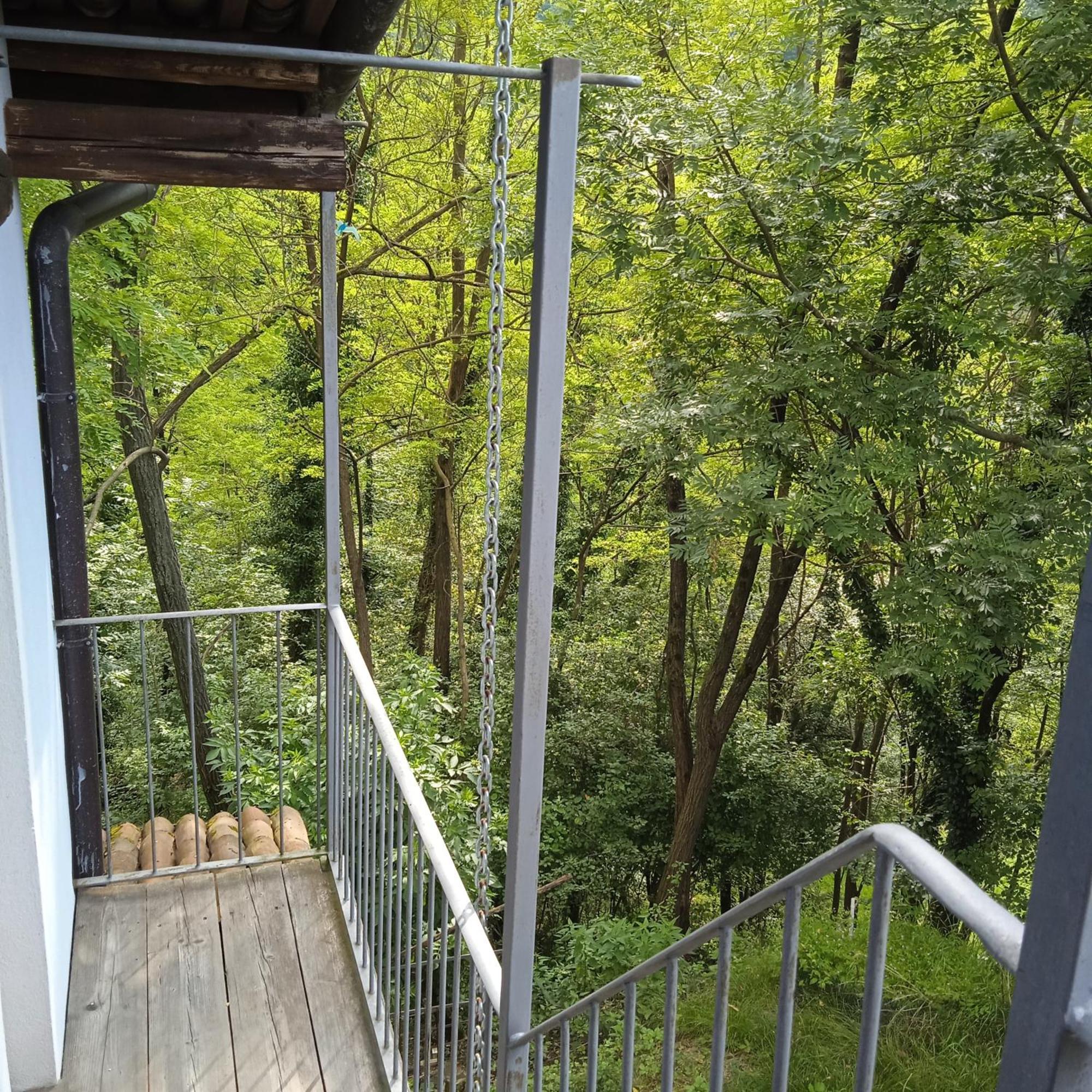 Il Canto Del Bosco Netro 外观 照片